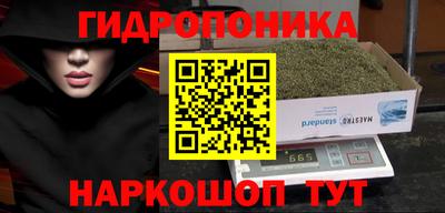 бошки Гусев