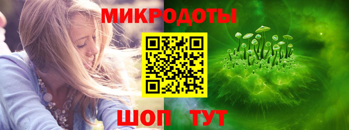 Галлюциногенные грибы Psilocybe  что такое   Междуреченск  Вход с VPN 